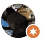 testimonials